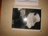 IMG_4407.JPG (45707 octets)